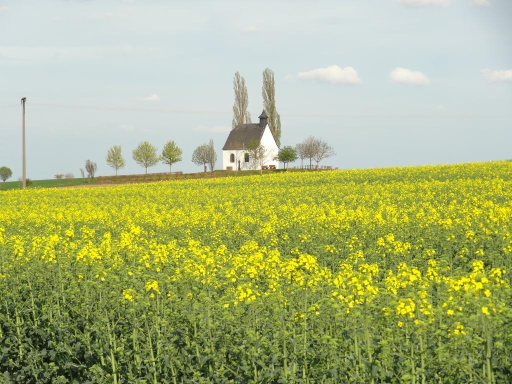 Ferienwohnung Vogt Mertloch Cameră foto